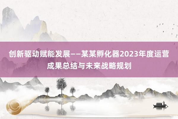 创新驱动赋能发展——某某孵化器2023年度运营成果总结与未来战略规划